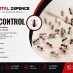 Why Do Ants Keep Coming Back in Dubai and Sharjah Homes? Understanding the Real Cause | Total Defence