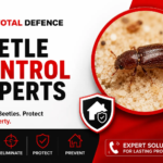 Beetle Control Dubai: Complete Guide to Types, Identification, Damage & Professional Treatment (2026)