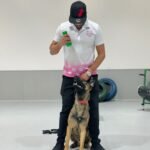 Dog Training Classes Dubai: Helping Your Dog Become a Confident and Well-Behaved Companion