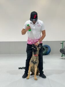 Dog Training Classes Dubai: Helping Your Dog Become a Confident and Well-Behaved Companion