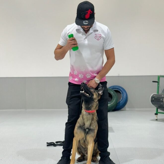 Dog Training Classes Dubai: Helping Your Dog Become a Confident and Well-Behaved Companion