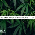 Do Edibles Hit Quicker on an Empty Stomach? Understanding THC Absorption