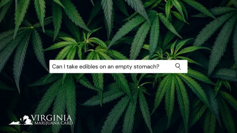 Do Edibles Hit Quicker on an Empty Stomach? Understanding THC Absorption