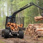 Mechanization Is Reshaping the Future of Sustainable Forestry in the United States