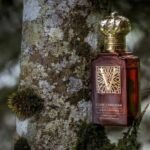 The Best Ways to Improve Experience an Ambery Fougere Fragrance