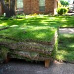 Professional Artificial Grass Installation Dallas TX Services: Transform Your Property