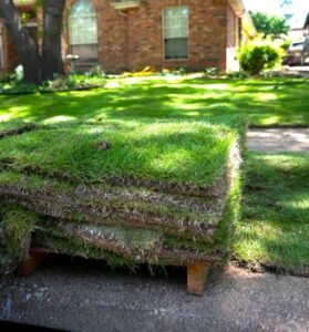 Professional Artificial Grass Installation Dallas TX Services: Transform Your Property