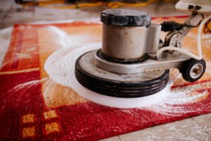 Professional Carpet Cleaning Ashburn Services by Cardinal Cleaning Solution