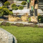 How Professional Landscaping Improves Outdoor Living Spaces