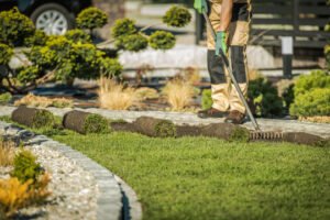 How Professional Landscaping Improves Outdoor Living Spaces