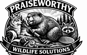 Praiseworthy Wildlife Solutions | Expert Wildlife Removal & Wildlife Control Services