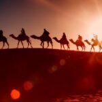 Explore Historic Medinas, Royal Palaces, Culture, and Timeless Moroccan Heritage