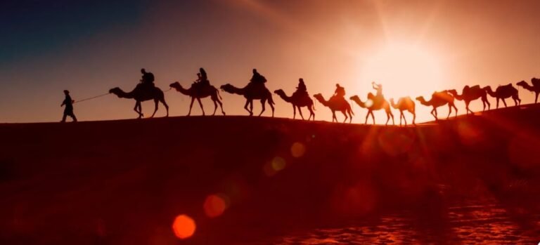 Explore Historic Medinas, Royal Palaces, Culture, and Timeless Moroccan Heritage