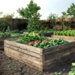How to Water Different Soil Types Without Causing Damage
