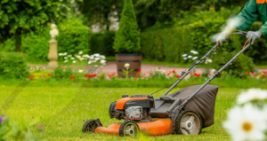 Lawn Care Maintenance Services in Trophy Club for Healthy Lawns