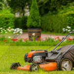 Lawn Care Maintenance Services in Trophy Club for Healthy Lawns
