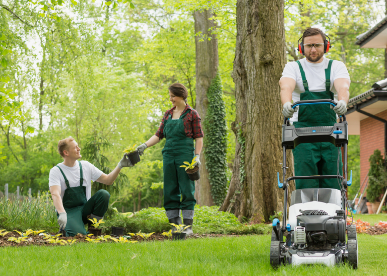 Lawn Mower Service Near Me for Professional Maintenance and Repairs