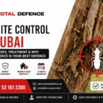 Termite Control in Dubai: Signs, Causes, Treatment & Why Total Defence Is Your Best Defence
