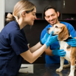 Can Humans Get Worms From Dogs? Risks & Prevention