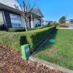 Lawn care Nashdale NSW