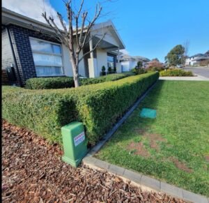 Lawn care Nashdale NSW