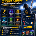 BetBhai9: A Modern Platform for Cricket Lovers and Gaming Enthusiasts