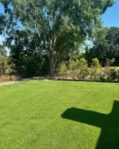How Landscape Design and Artificial Turf Can Improve Southlake Homes