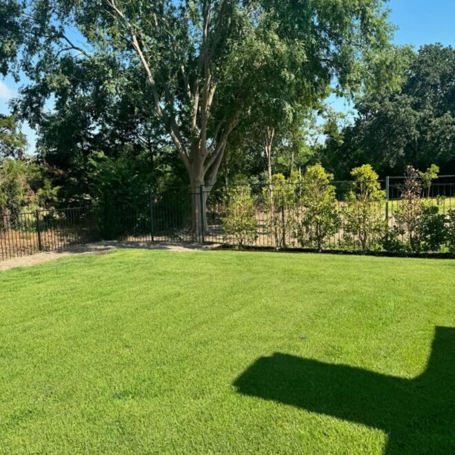 How Landscape Design and Artificial Turf Can Improve Southlake Homes