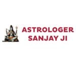 Professional Vedic Astrology Services for Clarity and Growth