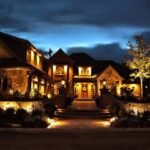 Oak Wilt Prevention in North Texas: Critical Pruning Windows and Best Practices