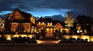 Oak Wilt Prevention in North Texas: Critical Pruning Windows and Best Practices