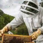 How Pest Control Companies Can Grow with Smart SEO