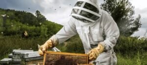 How Pest Control Companies Can Grow with Smart SEO