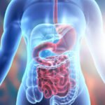 Indonesia’s Digestive Remedies Sector Gains Ground Through Travel Recovery, Digital Reach and Everyday Self-Care