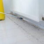 Bee Removal NYC: Safe Bee Nest Removal Services in Staten Island