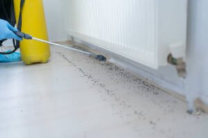 Bee Removal NYC: Safe Bee Nest Removal Services in Staten Island