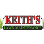 Simple Lawn Care Ideas for a Beautiful Outdoor Property