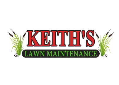 Smart Lawn Care Practices for a Healthier Outdoor Space
