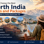 How to Choose the Best North India Tours and Packages