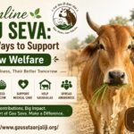 Online Gau Seva: Easy Ways to Support Cow Welfare