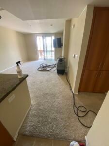 How Professional Cleaning Helps Maintain Fresh Carpets