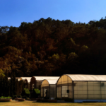 Why Storage Sheds in Brisbane Are a Practical Space-Saving Solution