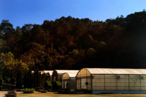 Why Storage Sheds in Brisbane Are a Practical Space-Saving Solution