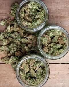 Cannabis Storage Containers Niagara Falls, NY