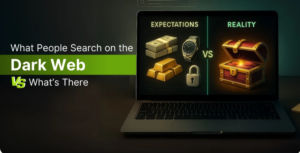 Haystak Search Engine Alternatives: 7 Options to Know in 2026