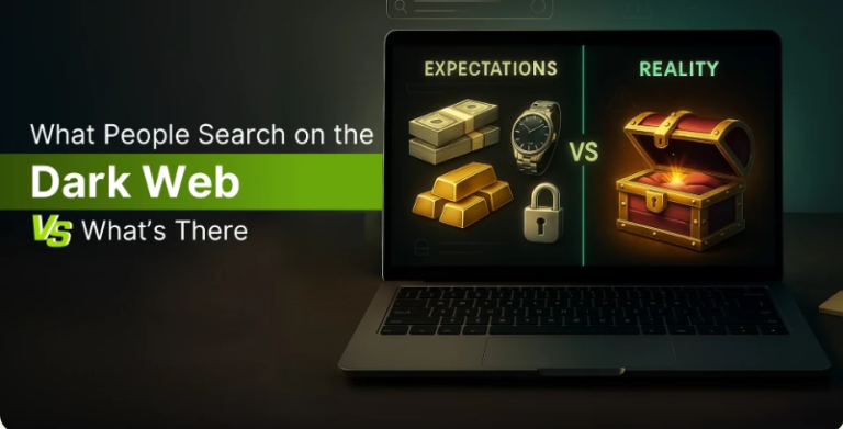 Haystak Search Engine Alternatives: 7 Options to Know in 2026