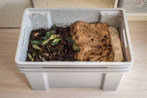 How to Order Worms for Composting: A Beginner’s Guide