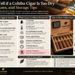Cohiba Cigar Humidity Guide: Understanding Dryness, Aging, and Proper Storage