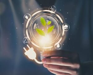 Green Seal Energy: How an Air Sealing Contractor Can Improve Home Comfort
