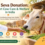 Gau Seva Donation: Support Cow Care & Welfare in India